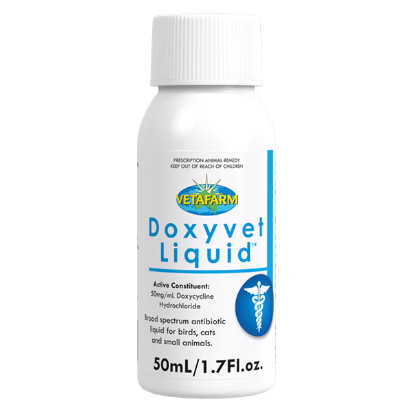 Product Doxyvet Liquid 50ml (1)